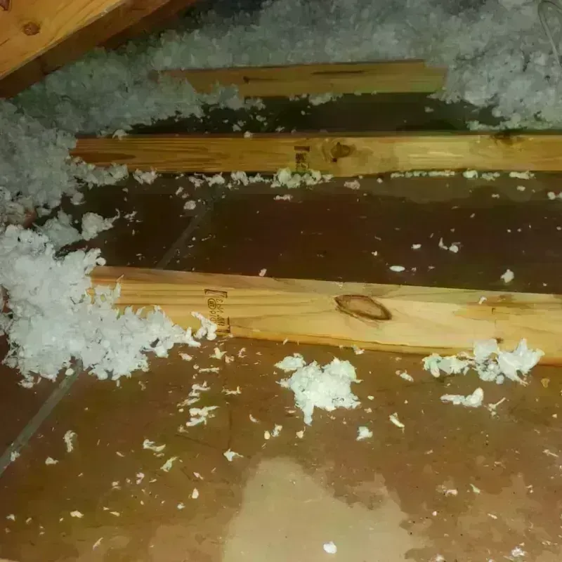 Attic Water Damage in Matador, TX