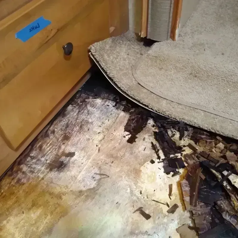 Wood Floor Water Damage in Matador, TX